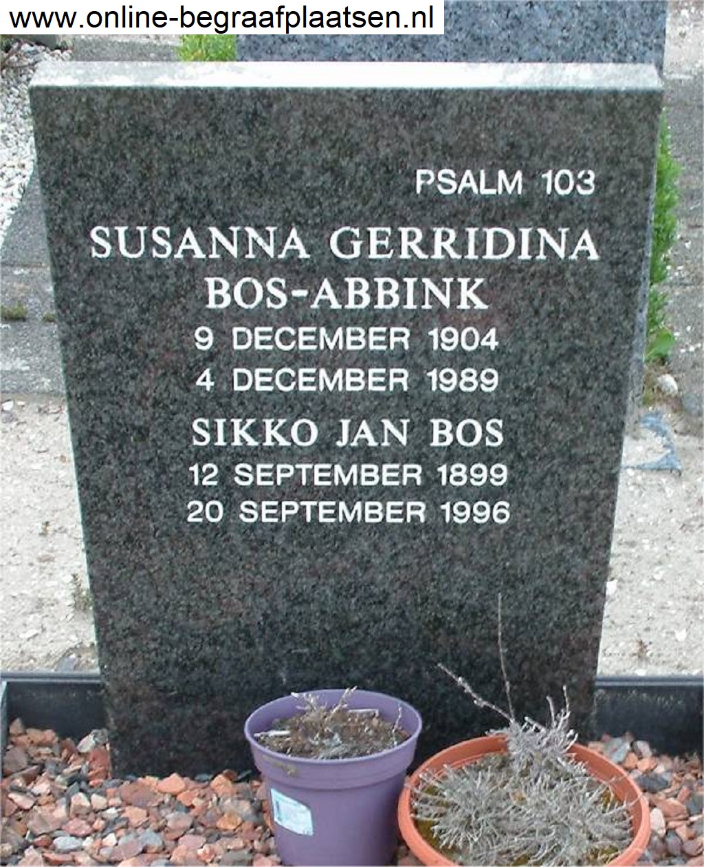 Susanna Gerridina Abbink